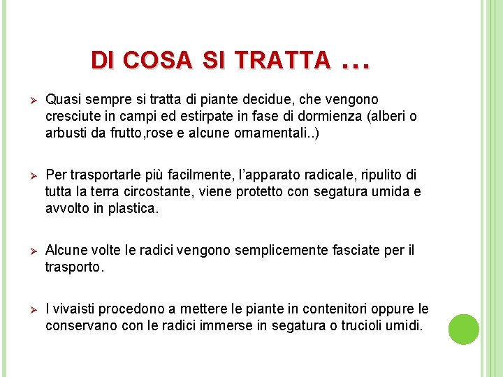 DI COSA SI TRATTA … Ø Quasi sempre si tratta di piante decidue, che