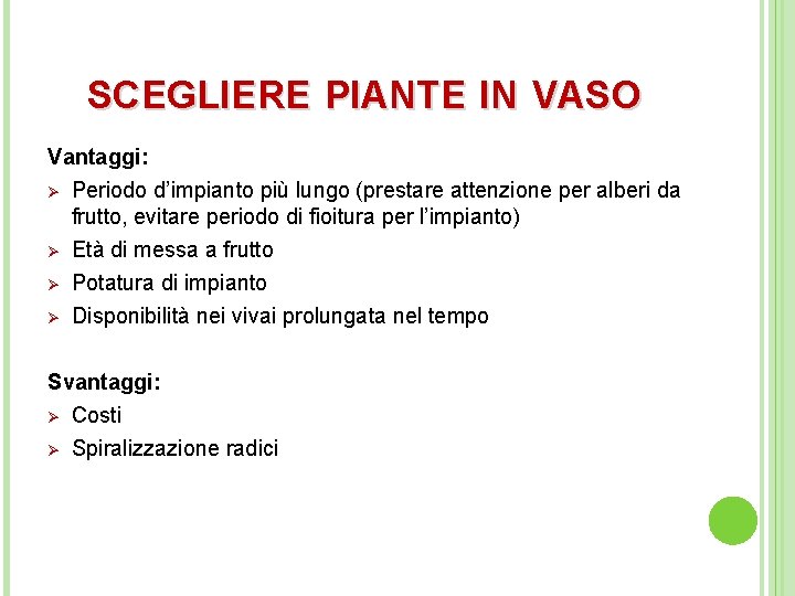 SCEGLIERE PIANTE IN VASO Vantaggi: Ø Periodo d’impianto più lungo (prestare attenzione per alberi