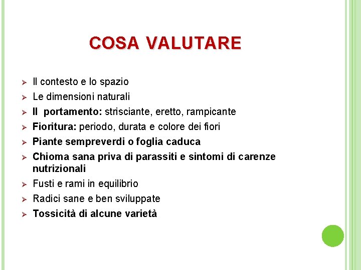 COSA VALUTARE Ø Il contesto e lo spazio Ø Le dimensioni naturali Il portamento: