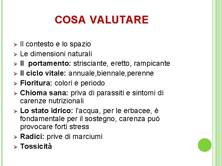 COSA VALUTARE Ø Ø Ø Ø Ø Il contesto e lo spazio Le dimensioni