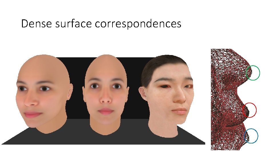 Dense surface correspondences 