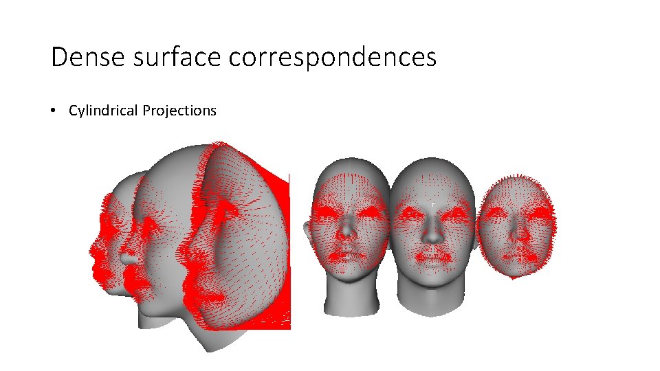 Dense surface correspondences • Cylindrical Projections 