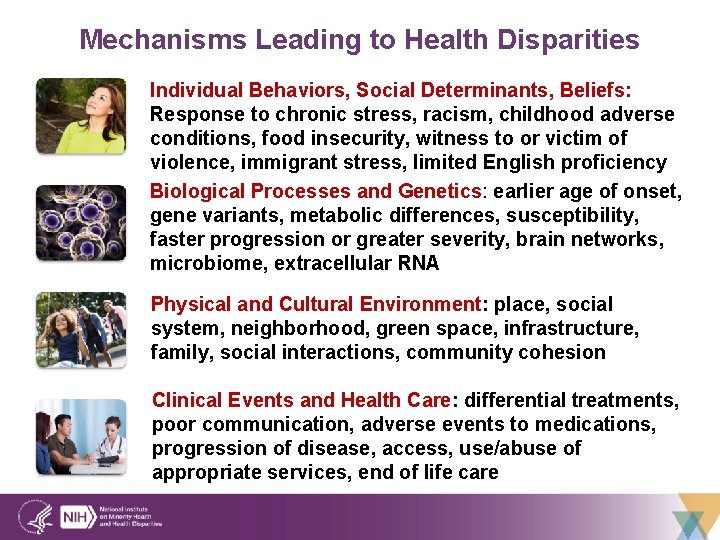 Mechanisms Leading to Health Disparities Individual Behaviors, Social Determinants, Beliefs: Response to chronic stress,