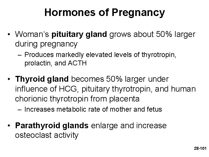 Hormones of Pregnancy • Woman’s pituitary gland grows about 50% larger during pregnancy –