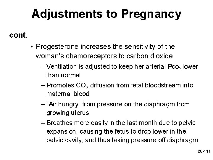 Adjustments to Pregnancy cont. • Progesterone increases the sensitivity of the woman’s chemoreceptors to