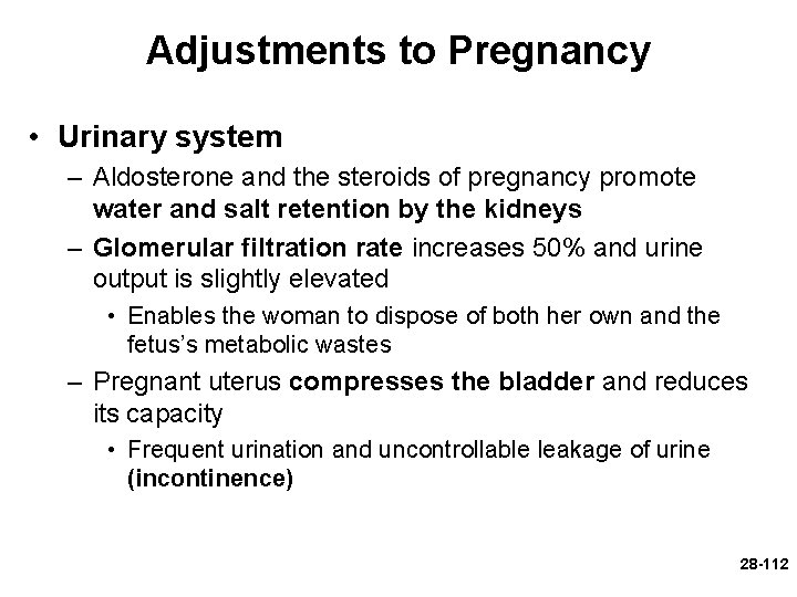 Adjustments to Pregnancy • Urinary system – Aldosterone and the steroids of pregnancy promote