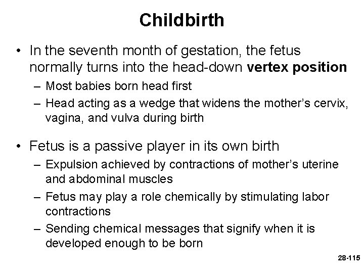 Childbirth • In the seventh month of gestation, the fetus normally turns into the