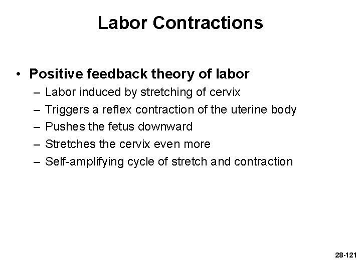 Labor Contractions • Positive feedback theory of labor – – – Labor induced by