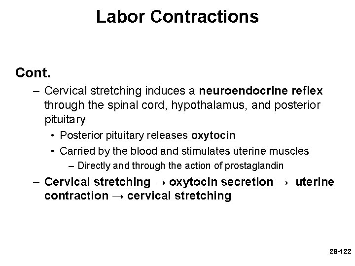 Labor Contractions Cont. – Cervical stretching induces a neuroendocrine reflex through the spinal cord,