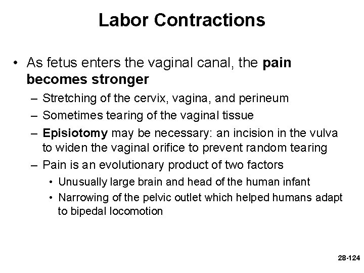 Labor Contractions • As fetus enters the vaginal canal, the pain becomes stronger –
