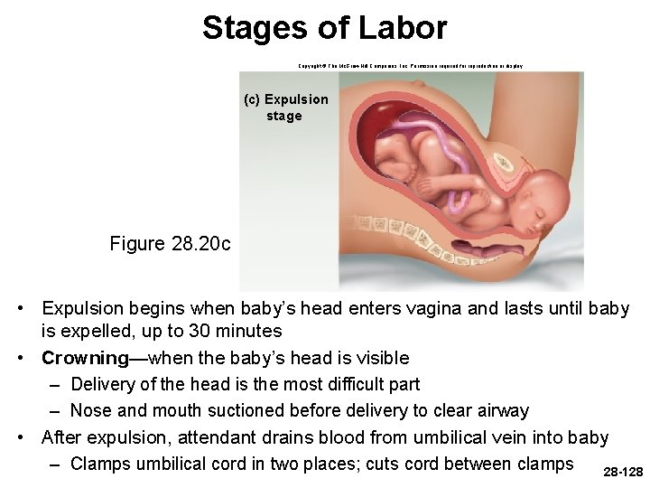 Stages of Labor Copyright © The Mc. Graw-Hill Companies, Inc. Permission required for reproduction
