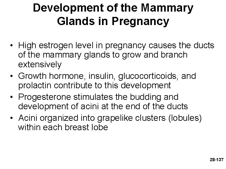 Development of the Mammary Glands in Pregnancy • High estrogen level in pregnancy causes