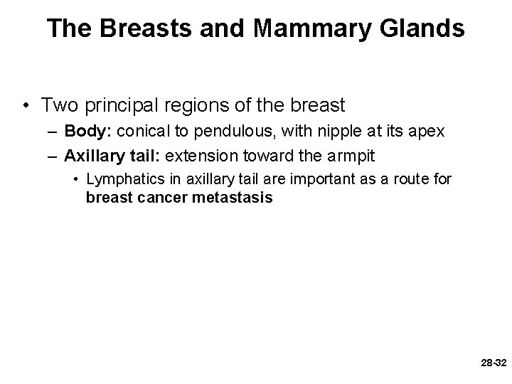 The Breasts and Mammary Glands • Two principal regions of the breast – Body: