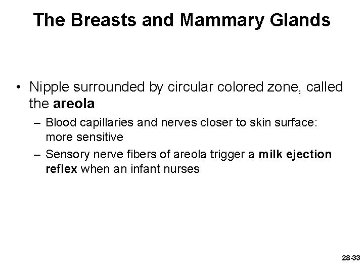 The Breasts and Mammary Glands • Nipple surrounded by circular colored zone, called the