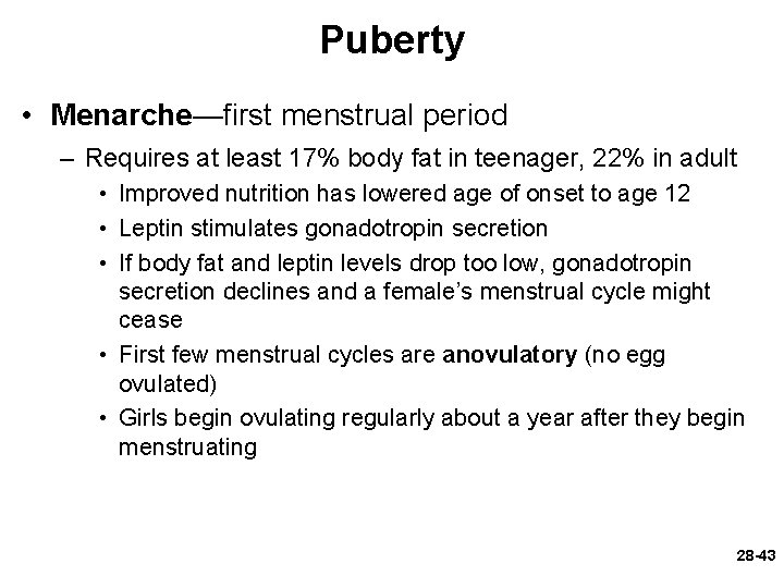 Puberty • Menarche—first menstrual period – Requires at least 17% body fat in teenager,
