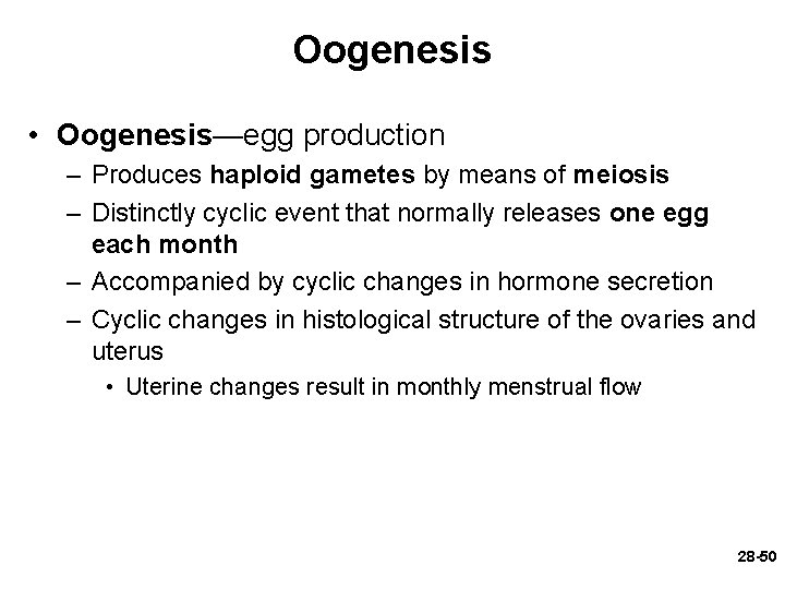 Oogenesis • Oogenesis—egg production – Produces haploid gametes by means of meiosis – Distinctly