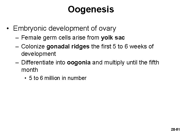 Oogenesis • Embryonic development of ovary – Female germ cells arise from yolk sac