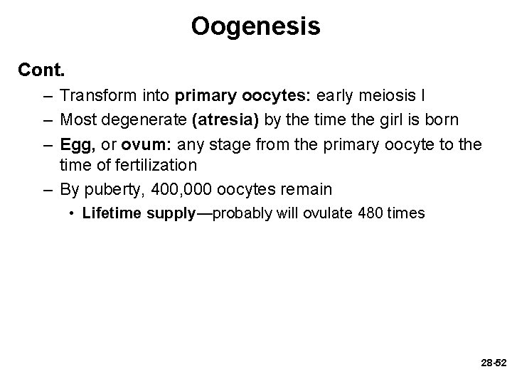 Oogenesis Cont. – Transform into primary oocytes: early meiosis I – Most degenerate (atresia)