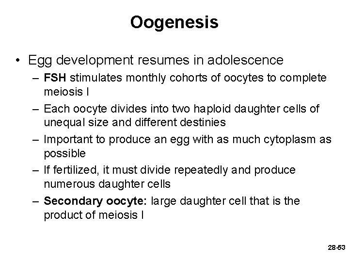 Oogenesis • Egg development resumes in adolescence – FSH stimulates monthly cohorts of oocytes