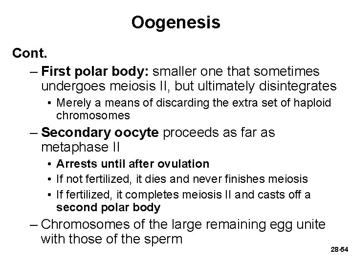 Oogenesis Cont. – First polar body: smaller one that sometimes undergoes meiosis II, but