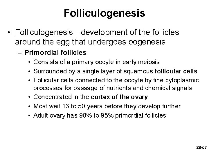 Folliculogenesis • Folliculogenesis—development of the follicles around the egg that undergoes oogenesis – Primordial