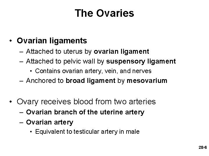 The Ovaries • Ovarian ligaments – Attached to uterus by ovarian ligament – Attached