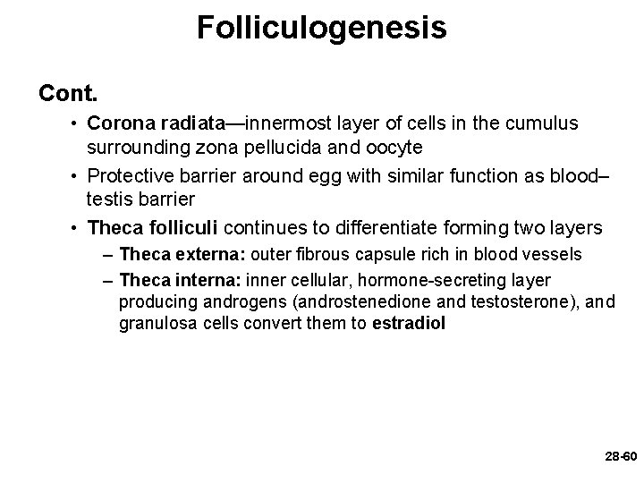 Folliculogenesis Cont. • Corona radiata—innermost layer of cells in the cumulus surrounding zona pellucida