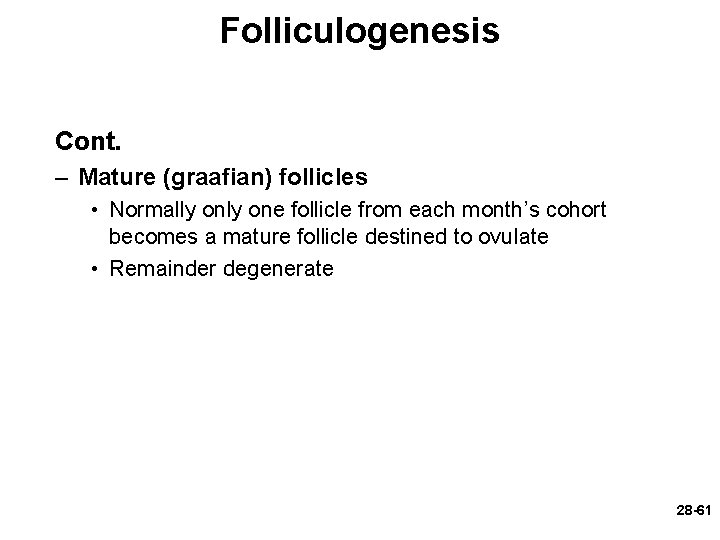 Folliculogenesis Cont. – Mature (graafian) follicles • Normally one follicle from each month’s cohort