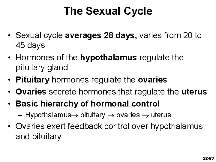 The Sexual Cycle • Sexual cycle averages 28 days, varies from 20 to 45