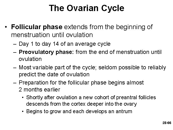 The Ovarian Cycle • Follicular phase extends from the beginning of menstruation until ovulation