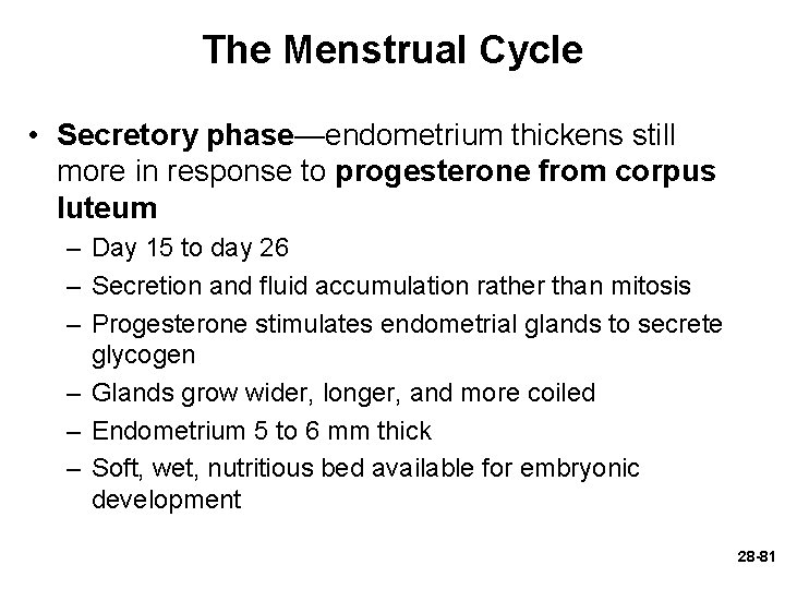 The Menstrual Cycle • Secretory phase—endometrium thickens still more in response to progesterone from