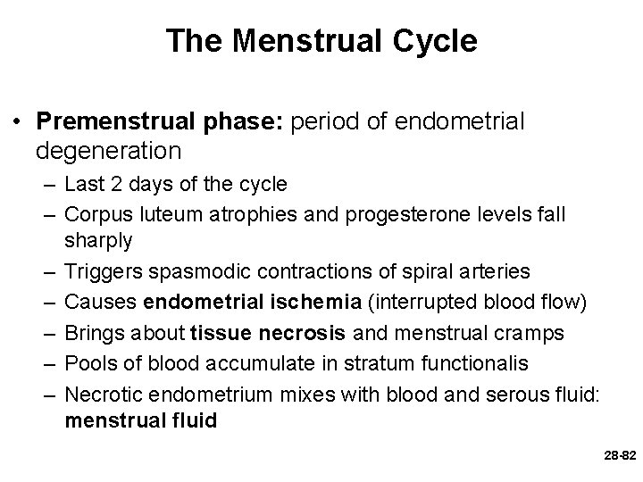 The Menstrual Cycle • Premenstrual phase: period of endometrial degeneration – Last 2 days