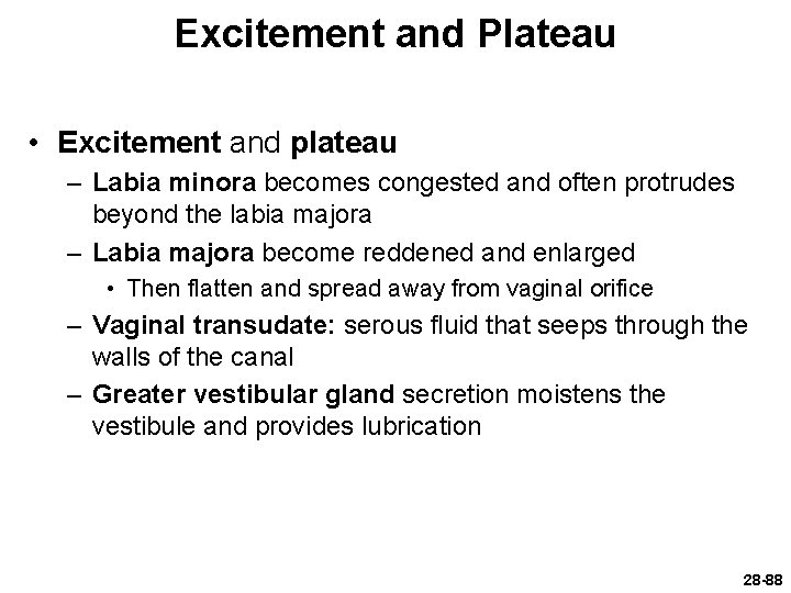 Excitement and Plateau • Excitement and plateau – Labia minora becomes congested and often