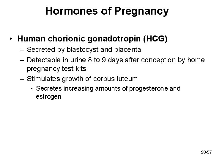 Hormones of Pregnancy • Human chorionic gonadotropin (HCG) – Secreted by blastocyst and placenta