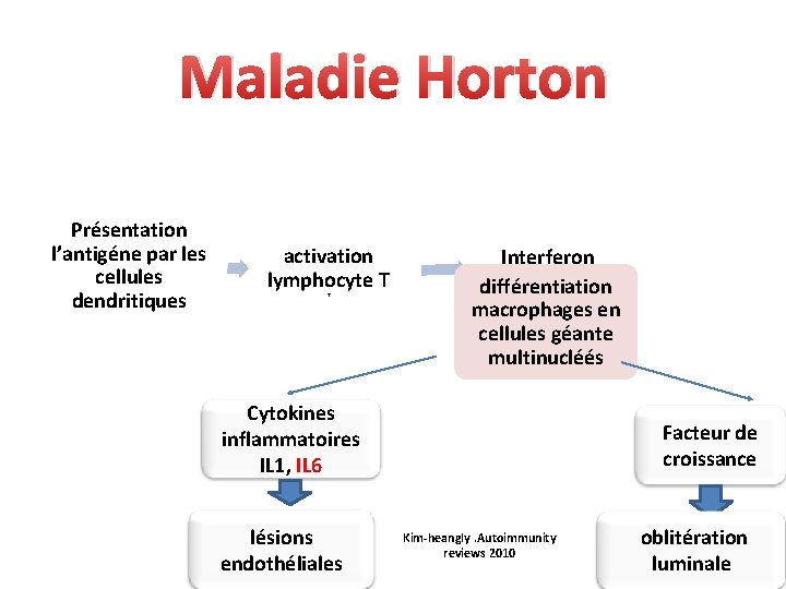 Maladie Horton Présentation l’antigéne par les cellules dendritiques activation lymphocyte T T Interferon gamma