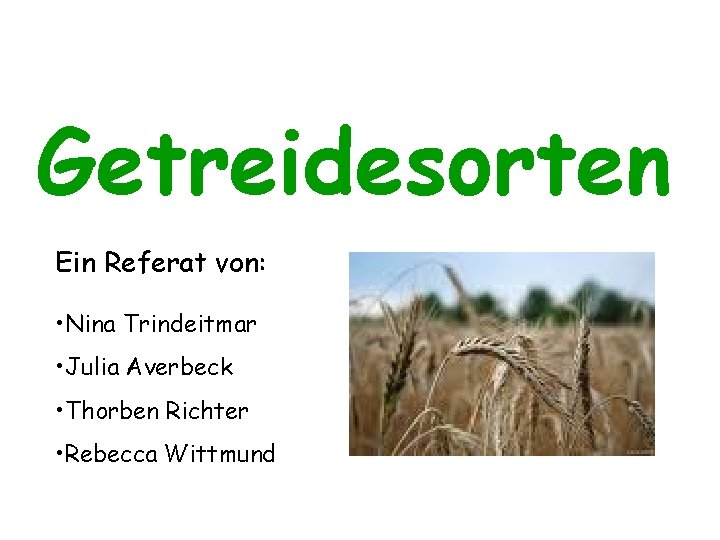 Getreidesorten Ein Referat von: • Nina Trindeitmar • Julia Averbeck • Thorben Richter •