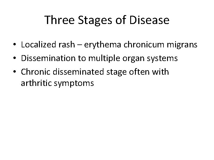 Three Stages of Disease • Localized rash – erythema chronicum migrans • Dissemination to