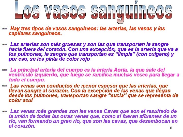 Hay tres tipos de vasos sanguíneos: las arterias, las venas y los capilares sanguíneos.