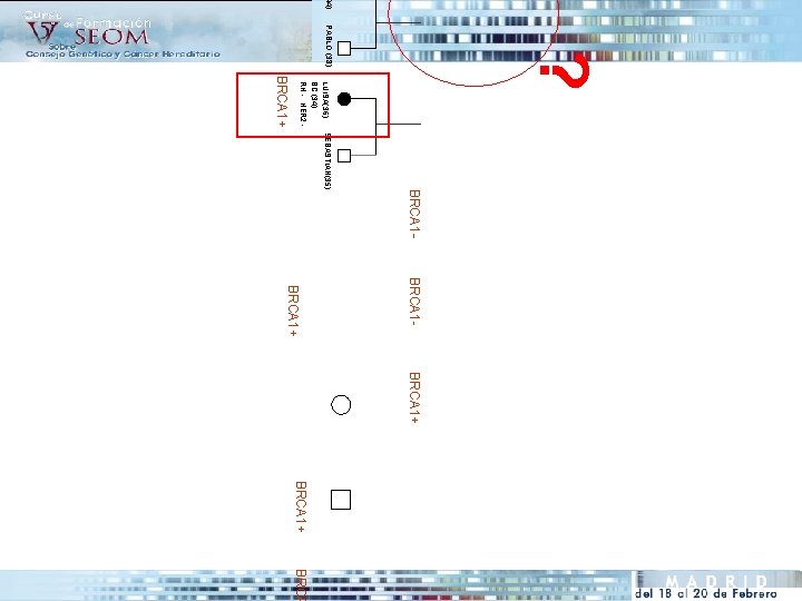 44) ? PABLO (38) BRCA 1 - SEBASTIAN(35) LUISA(36) BC (34) RH -, HER