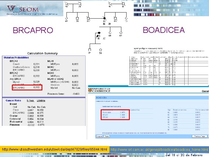 BRCAPRO http: //www. utsouthwestern. edu/utsw/cda/dept 47829/files/65844. html BOADICEA http: //www. srl. cam. ac. uk/genepi/boadicea_home.