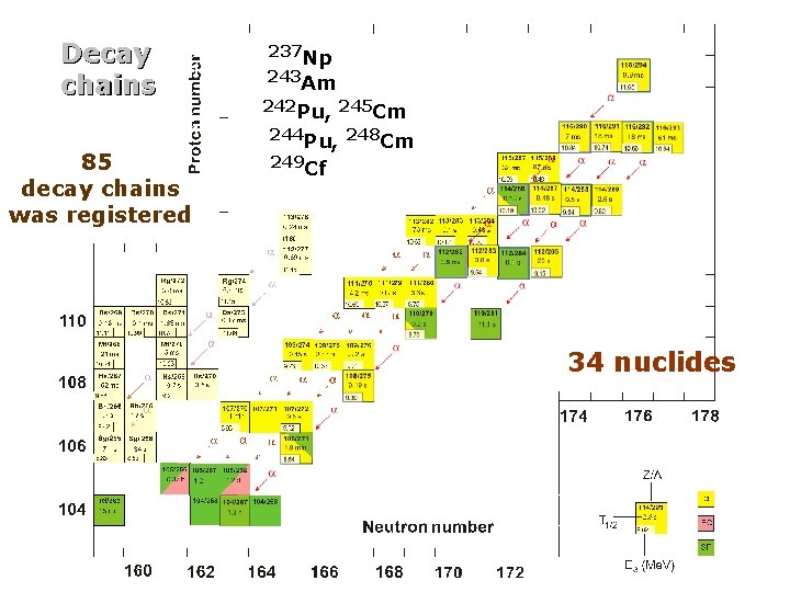 Decay chains 85 decay chains was registered 237 Np 243 Am 242 Pu, 245