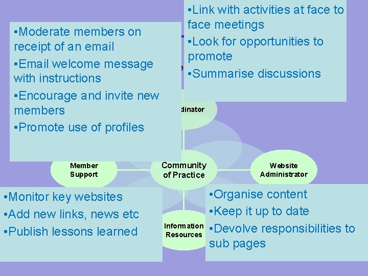  • Link with activities at face to face meetings • Moderate members on