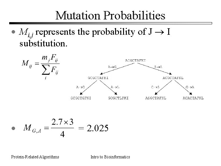 Mutation Probabilities · Mi, j represents the probability of J I substitution. · Protein-Related