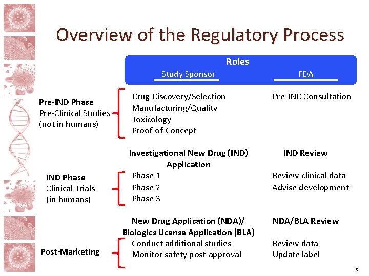 Overview of the Regulatory Process Roles Study Sponsor Pre-IND Phase Pre-Clinical Studies (not in