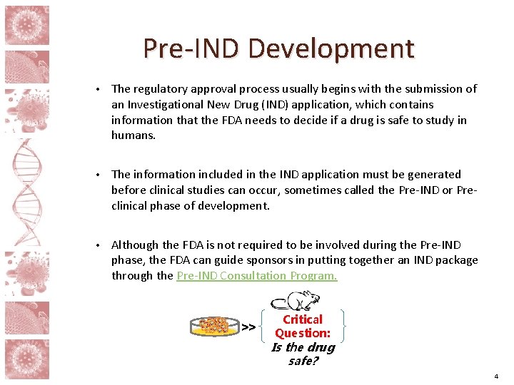 Pre-IND Development • The regulatory approval process usually begins with the submission of an