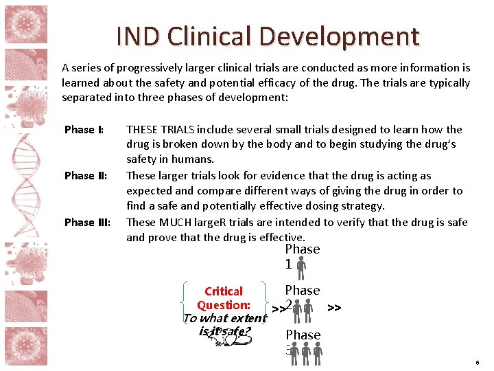 IND Clinical Development A series of progressively larger clinical trials are conducted as more