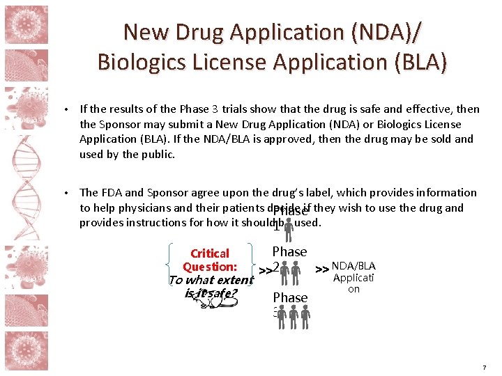 New Drug Application (NDA)/ Biologics License Application (BLA) • If the results of the