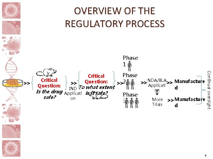OVERVIEW OF THE REGULATORY PROCESS Phase 1 Critical Question: IND To what extent Applicati