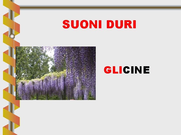 SUONI DURI GLICINE 