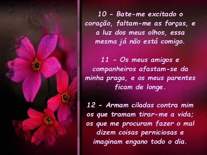 10 - Bate-me excitado o coração, faltam-me as forças, e a luz dos meus 10 - Bate-me excitado o coração, faltam-me as forças, e a luz dos meus